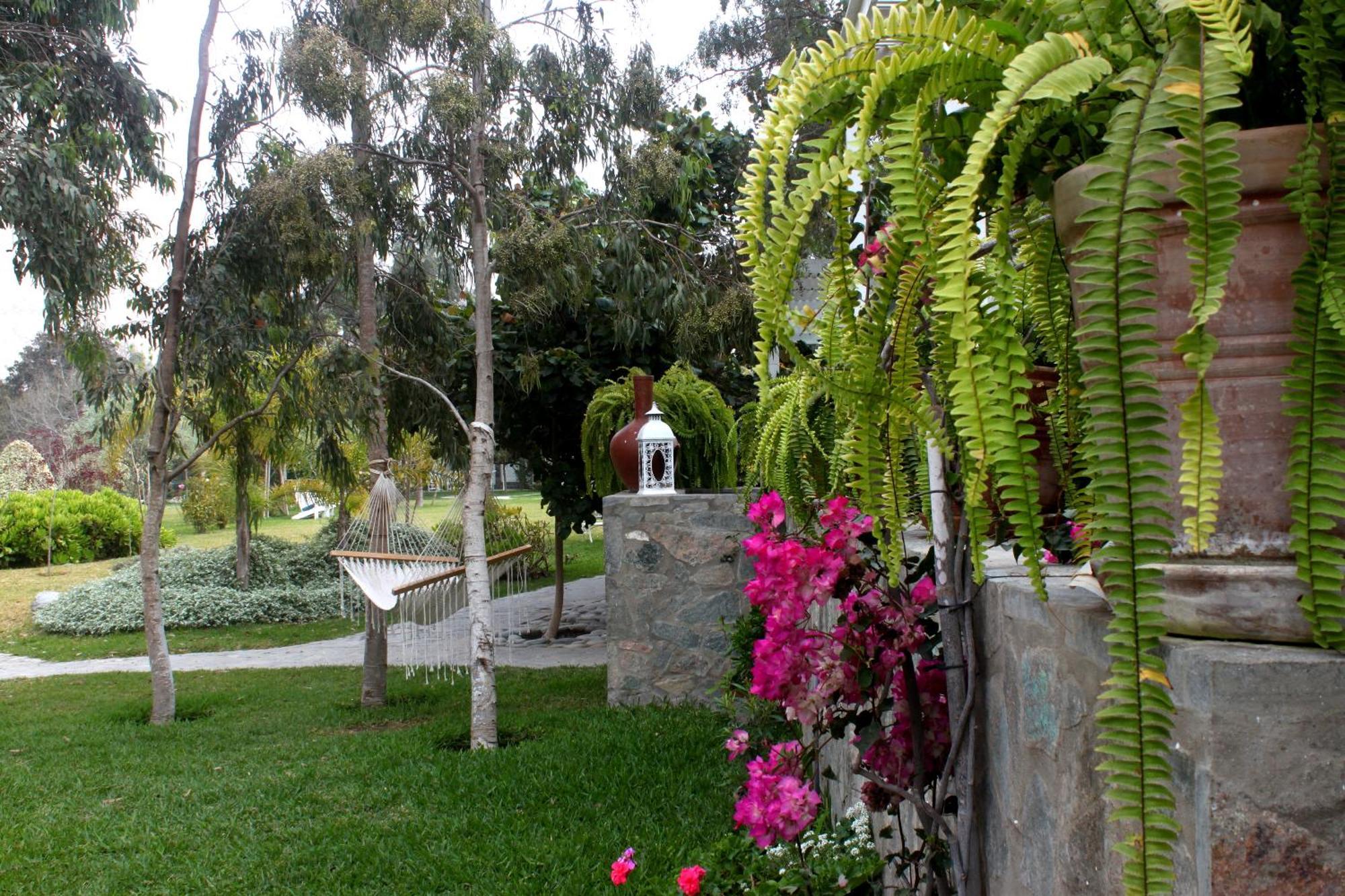 Hotel Los Palomos Lunahuaná Buitenkant foto
