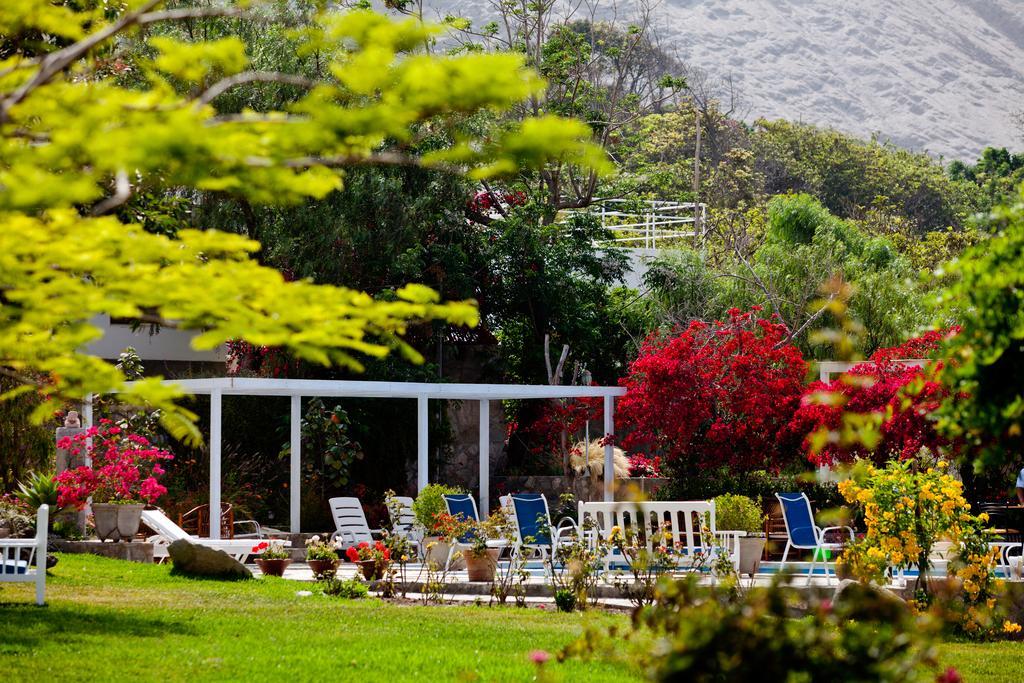Hotel Los Palomos Lunahuaná Buitenkant foto