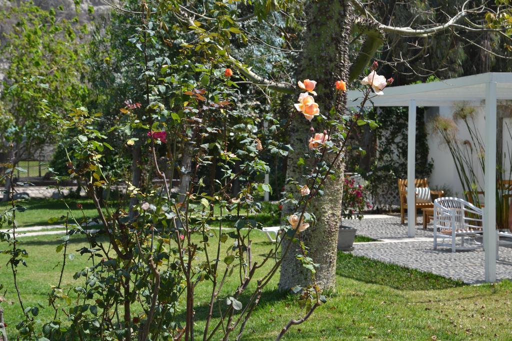 Hotel Los Palomos Lunahuaná Buitenkant foto